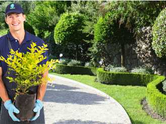 Jardinagem BRASILSERVIS
